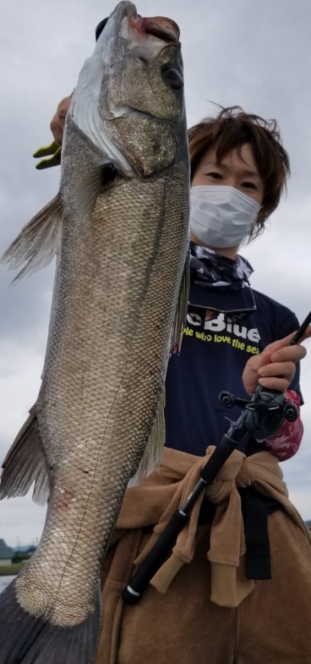 アマテラス 釣果