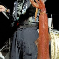 LUSTER『ラスター』 釣果