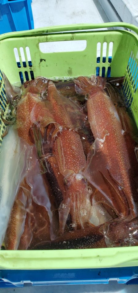 LUSTER『ラスター』 釣果