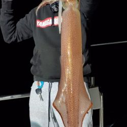 LUSTER『ラスター』 釣果