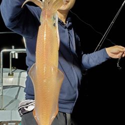 LUSTER『ラスター』 釣果