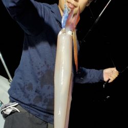 LUSTER『ラスター』 釣果