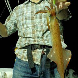 LUSTER『ラスター』 釣果