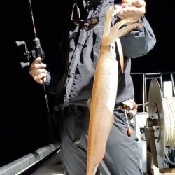 LUSTER『ラスター』 釣果