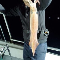 LUSTER『ラスター』 釣果