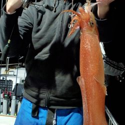 LUSTER『ラスター』 釣果