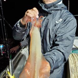 LUSTER『ラスター』 釣果