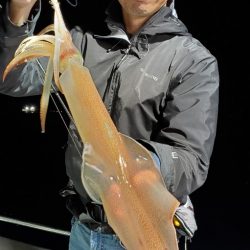 LUSTER『ラスター』 釣果