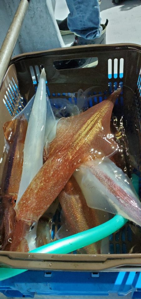 LUSTER『ラスター』 釣果