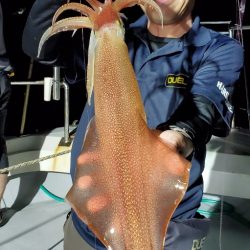 LUSTER『ラスター』 釣果