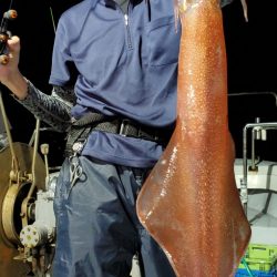 LUSTER『ラスター』 釣果