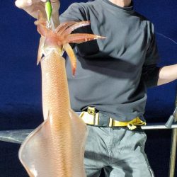 LUSTER『ラスター』 釣果