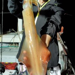 LUSTER『ラスター』 釣果