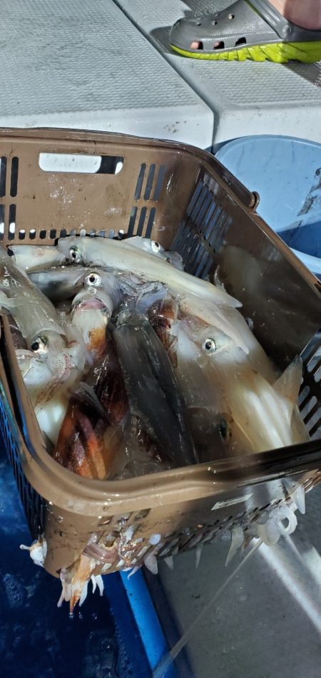 LUSTER『ラスター』 釣果