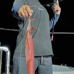 LUSTER『ラスター』 釣果