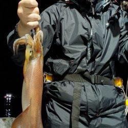 LUSTER『ラスター』 釣果