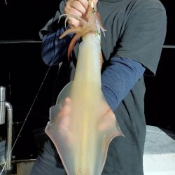 LUSTER『ラスター』 釣果