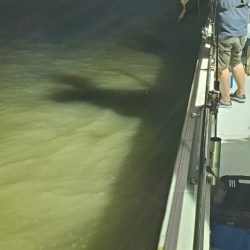 LUSTER『ラスター』 釣果