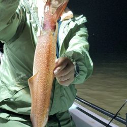 LUSTER『ラスター』 釣果