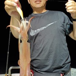 LUSTER『ラスター』 釣果