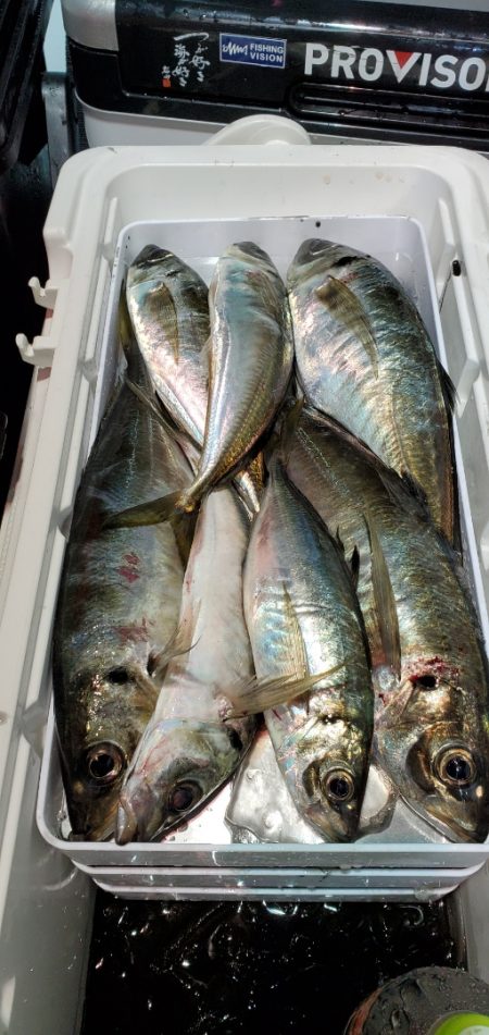 LUSTER『ラスター』 釣果