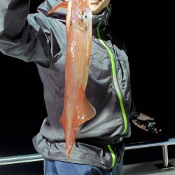 LUSTER『ラスター』 釣果