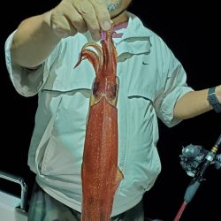 LUSTER『ラスター』 釣果