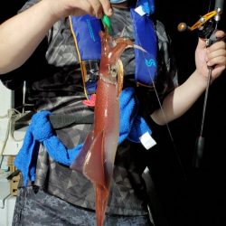 LUSTER『ラスター』 釣果