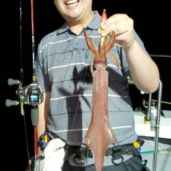 LUSTER『ラスター』 釣果