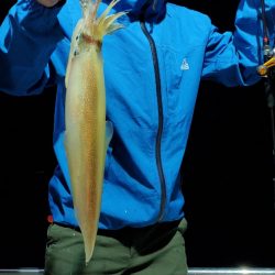 LUSTER『ラスター』 釣果