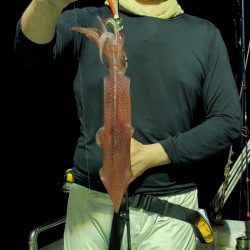 LUSTER『ラスター』 釣果