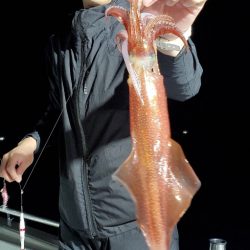 LUSTER『ラスター』 釣果