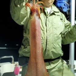 LUSTER『ラスター』 釣果