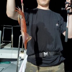 LUSTER『ラスター』 釣果