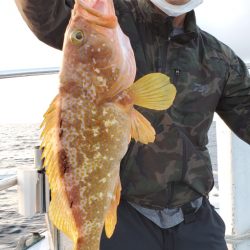 LUSTER『ラスター』 釣果