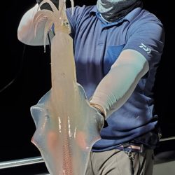 LUSTER『ラスター』 釣果