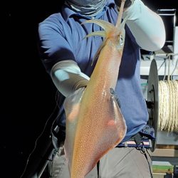 LUSTER『ラスター』 釣果