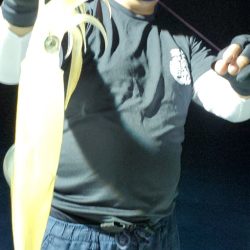 LUSTER『ラスター』 釣果