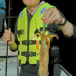 LUSTER『ラスター』 釣果