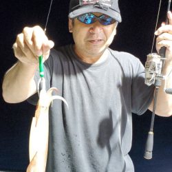 LUSTER『ラスター』 釣果