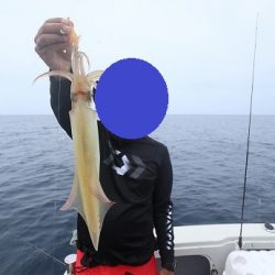 エル・クルーズ 釣果