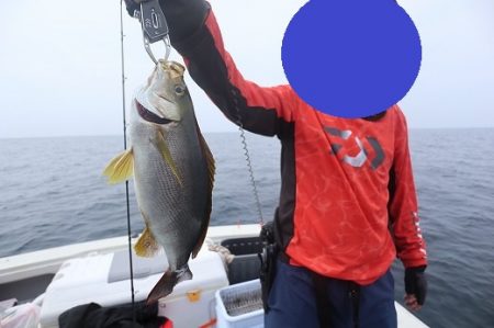 エル・クルーズ 釣果