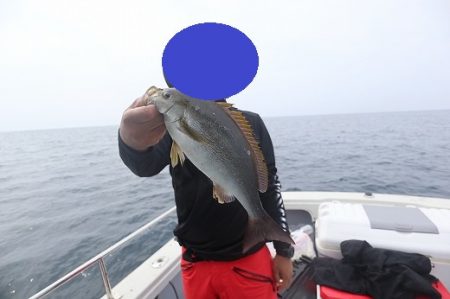 エル・クルーズ 釣果