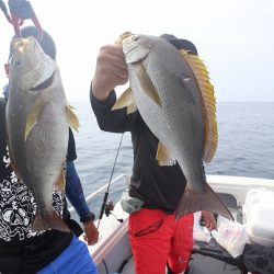 エル・クルーズ 釣果