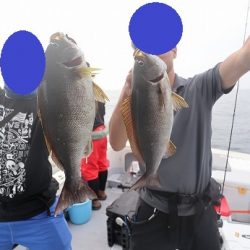 エル・クルーズ 釣果