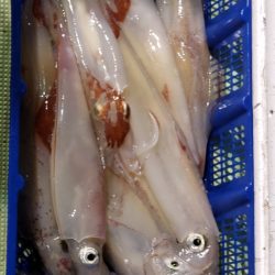 海龍丸（石川） 釣果