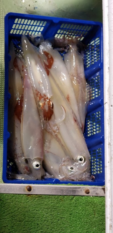 海龍丸（石川） 釣果