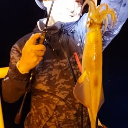 海龍丸（石川） 釣果