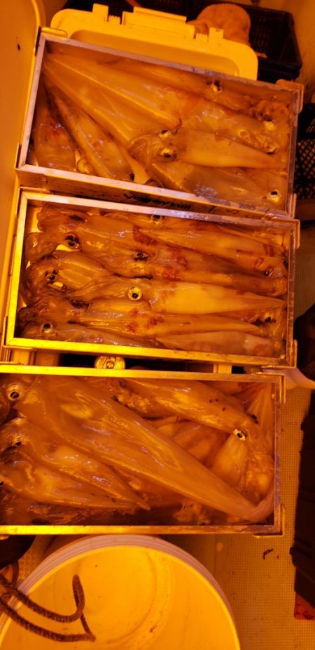 海龍丸（石川） 釣果