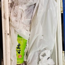 海龍丸（石川） 釣果